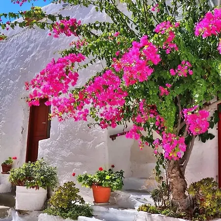 4 Seasons Paradise Near Athens Airport